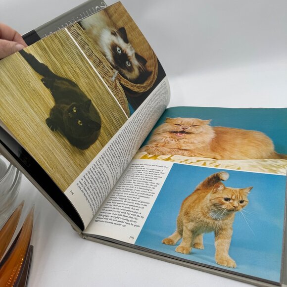THE LOVE OF CATS BY CHRISTINE METCALF 150 COLOR PHOTO'S Book coffe table book - Picture 12 of 14